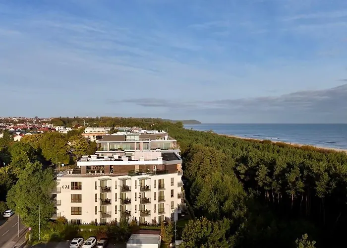 In - Prywatne - Gwiazda Morza *